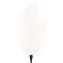 Щекоталка со страусиным пером  Art of Sex - Feather Tickler, цвет Белый